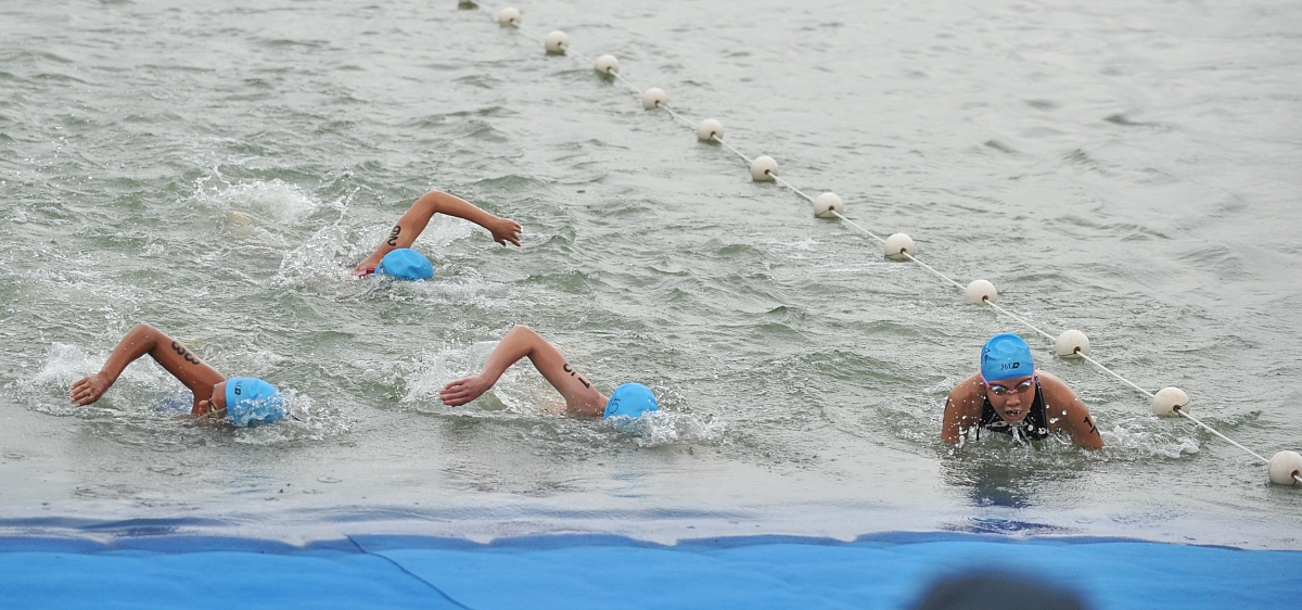 场面火爆!游泳观众席沸腾不已 场面火爆!游泳观众席沸腾不已