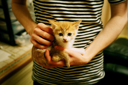 红土失意纽约圆梦,纳达尔美网逆转封神,再写传奇