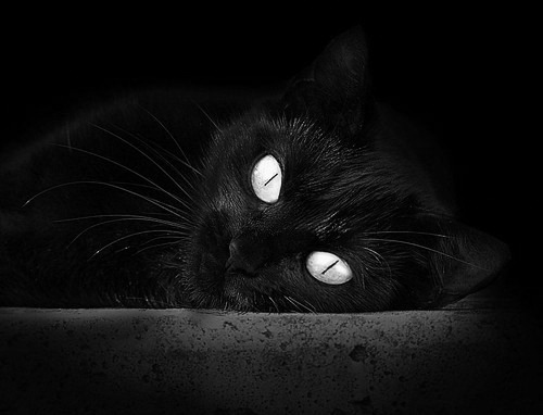 逆袭焰火，波兰战车碾过德国堡垒，梁靖崑的怒吼点燃混沌赛场