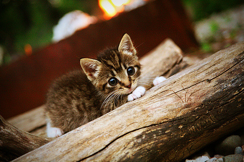 烽火马德里，梅赛德斯鏖战雷诺，勒克莱尔魔幻舞步定乾坤