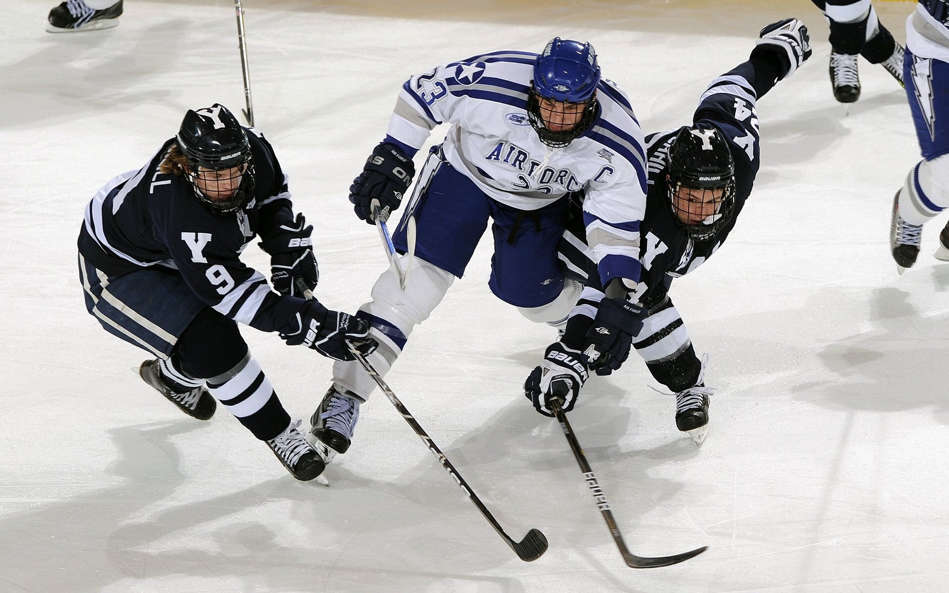佛罗伦萨的回响，格列兹曼用文艺复兴笔法横扫智利
