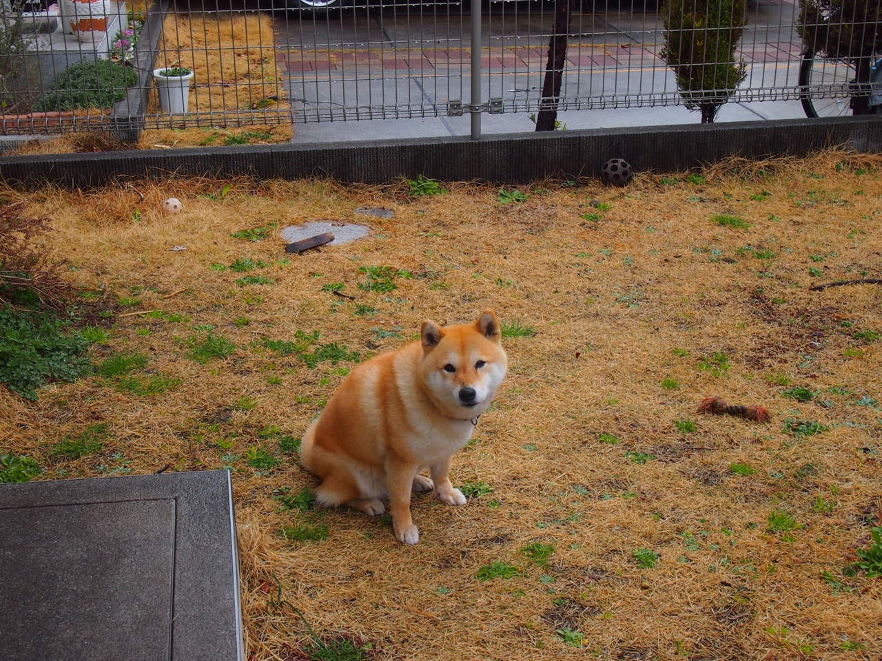 铁闸锁红魔，神剑破苍穹—巴尔韦德生涯之夜与塞维利亚防线的终极交响