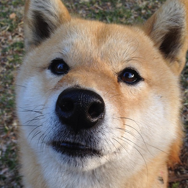 铁闸锁红魔，神剑破苍穹—巴尔韦德生涯之夜与塞维利亚防线的终极交响