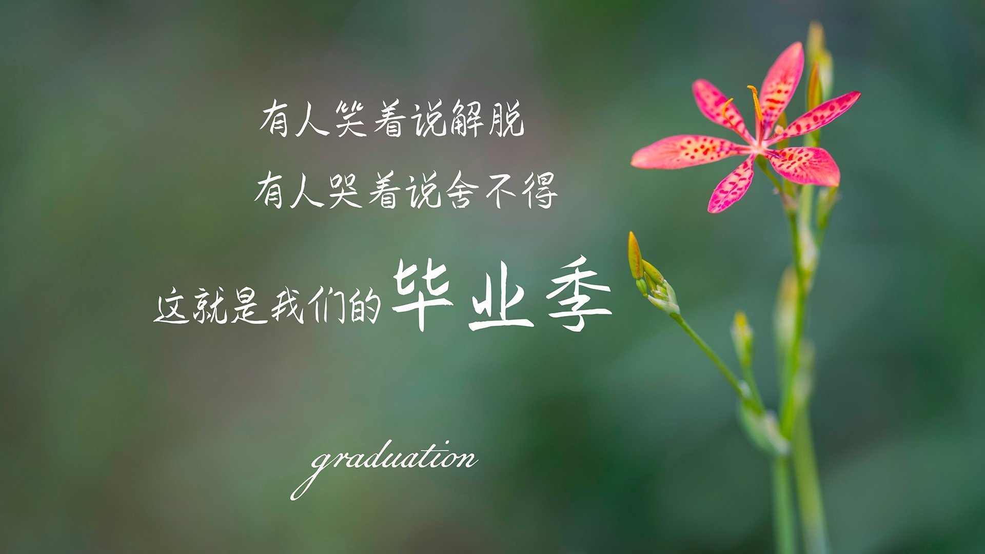 爱游戏官方-英格拉姆闪耀全场，深圳队战术压制力克北京队