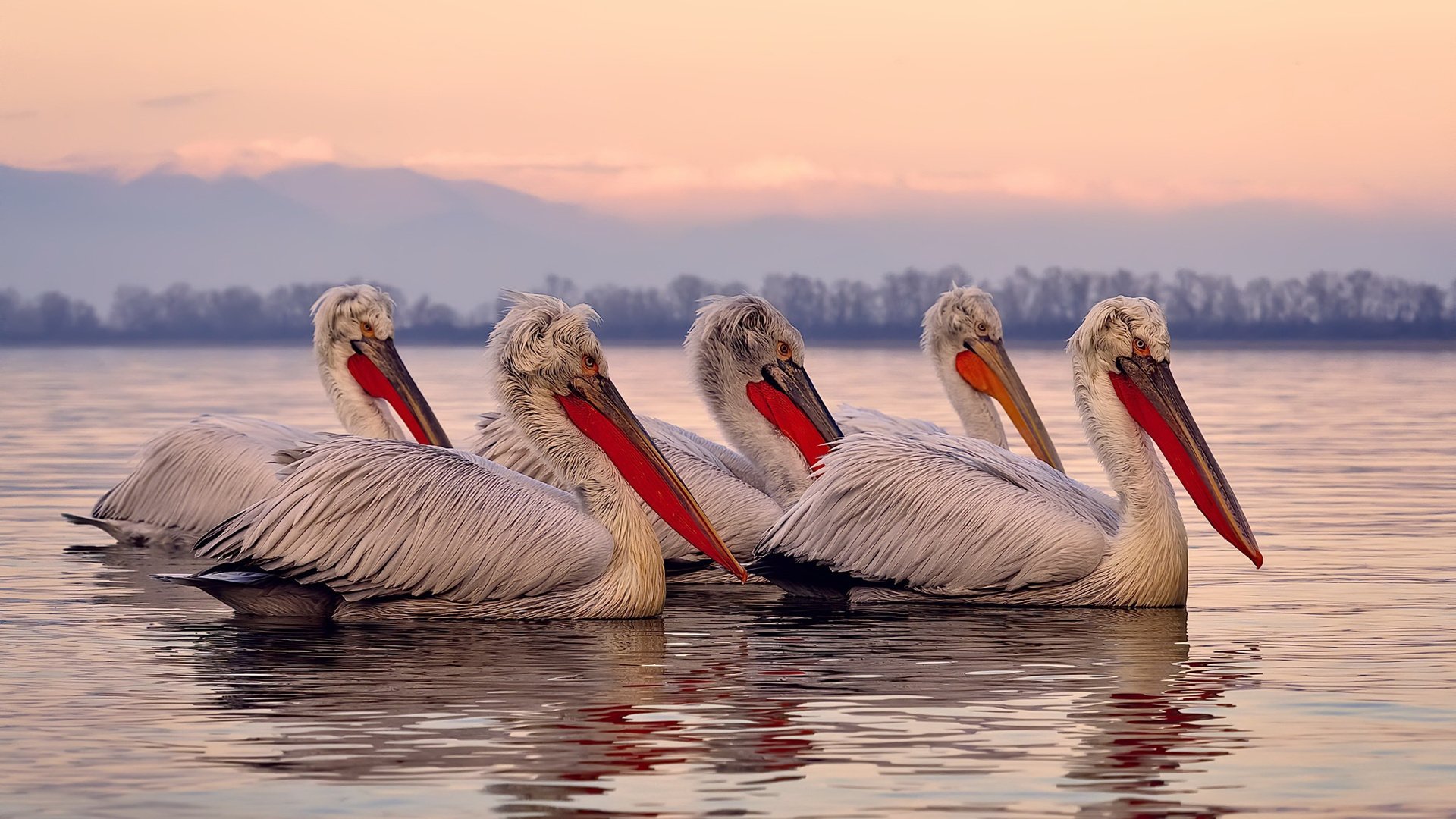 雨刷横扫多伦多，影子的显形，当乔治成为步行者的绝对坐标