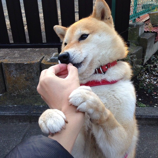 星光劈开喧嚣—弗拉霍维奇一锤定音,让世界排名的悬念在哨响前尘埃落定