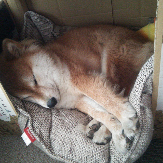 斩断宿命！一记绝杀埋葬四载心魔，平凡数据下的英雄米切尔