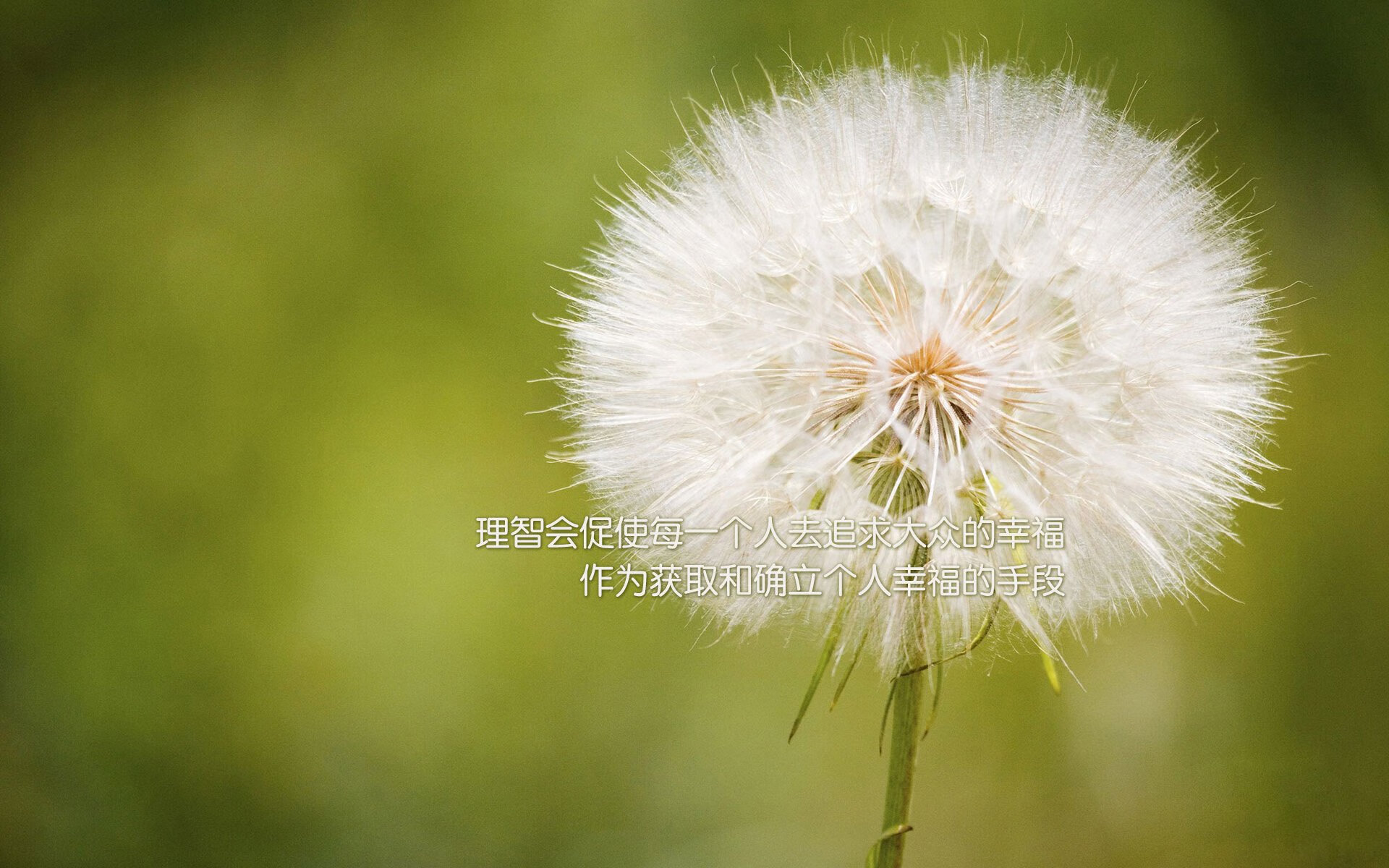 绝境方显英雄胆,保罗一剑定乾坤—辽宁关键战突围广厦纪实