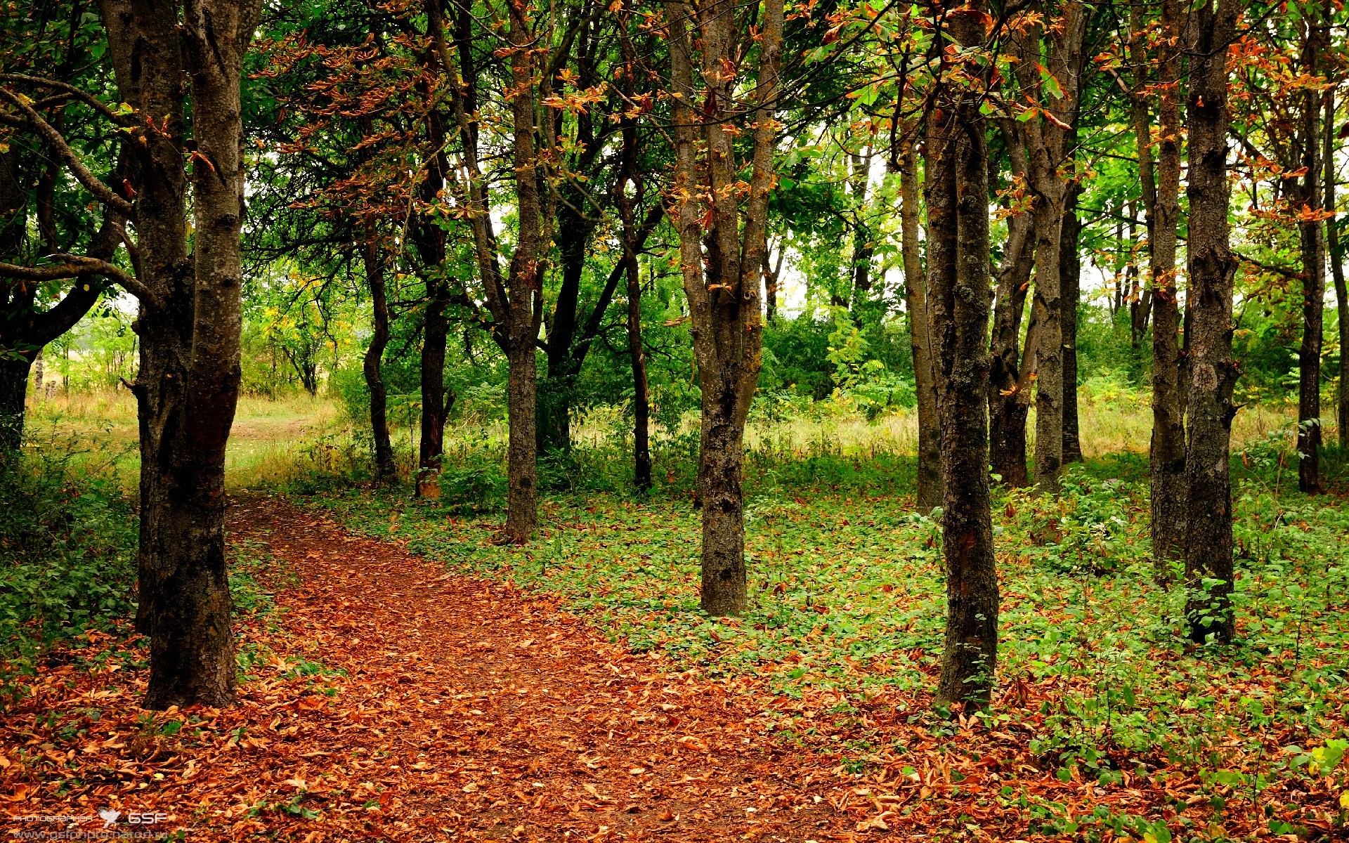 唯一铁闸,托尼如何在对阵墨西哥的夜晚封印球场