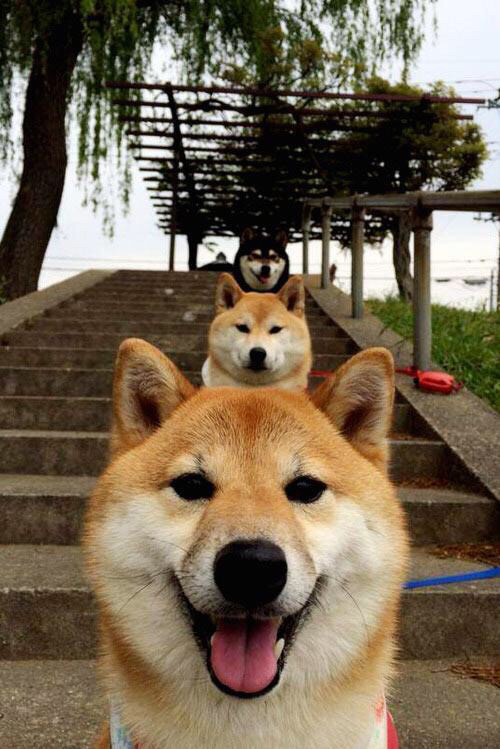 当东方密云遇见汽车城火花，班凯罗里程碑之夜的跨洋对话