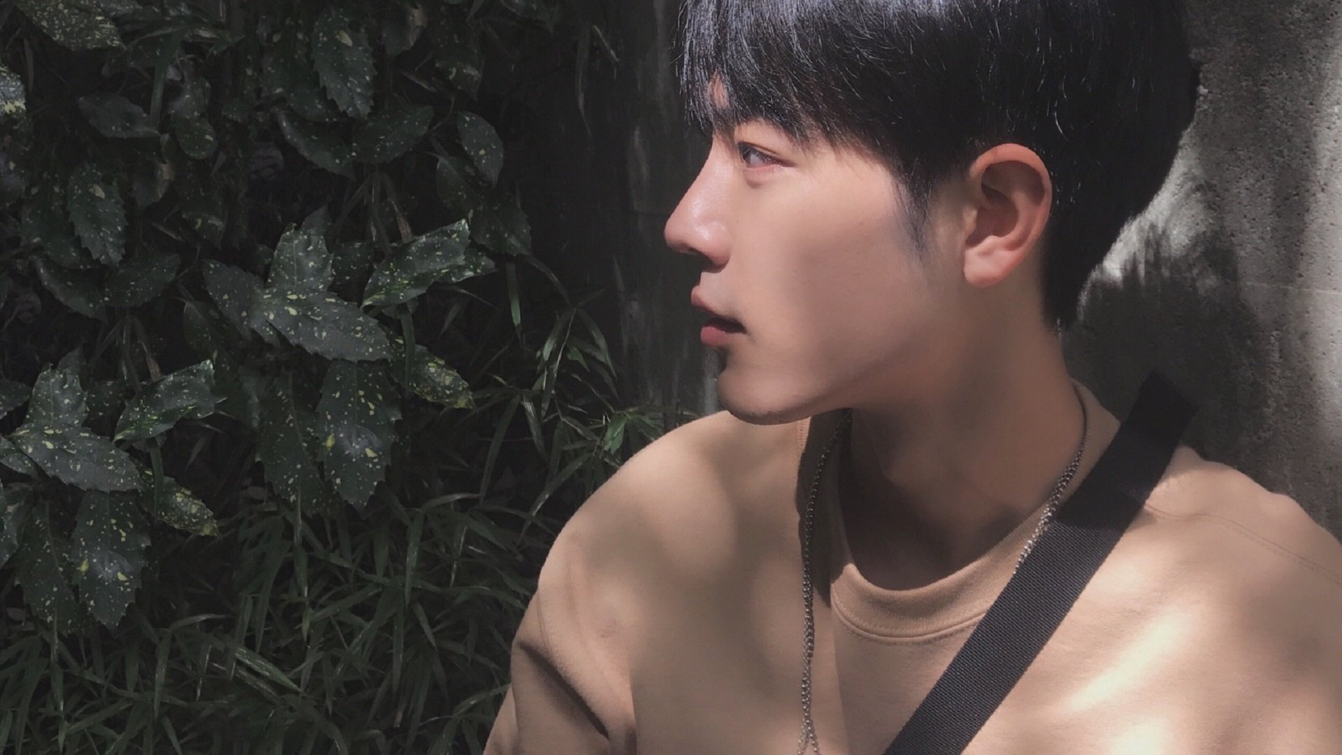 爱游戏官方-双星闪耀夜，勇士加时擒狼续写坚韧，东契奇独舞主宰赛场命运 团队鏖战与个人统治力的完美交响，NBA之夜诠释篮球多元魅力