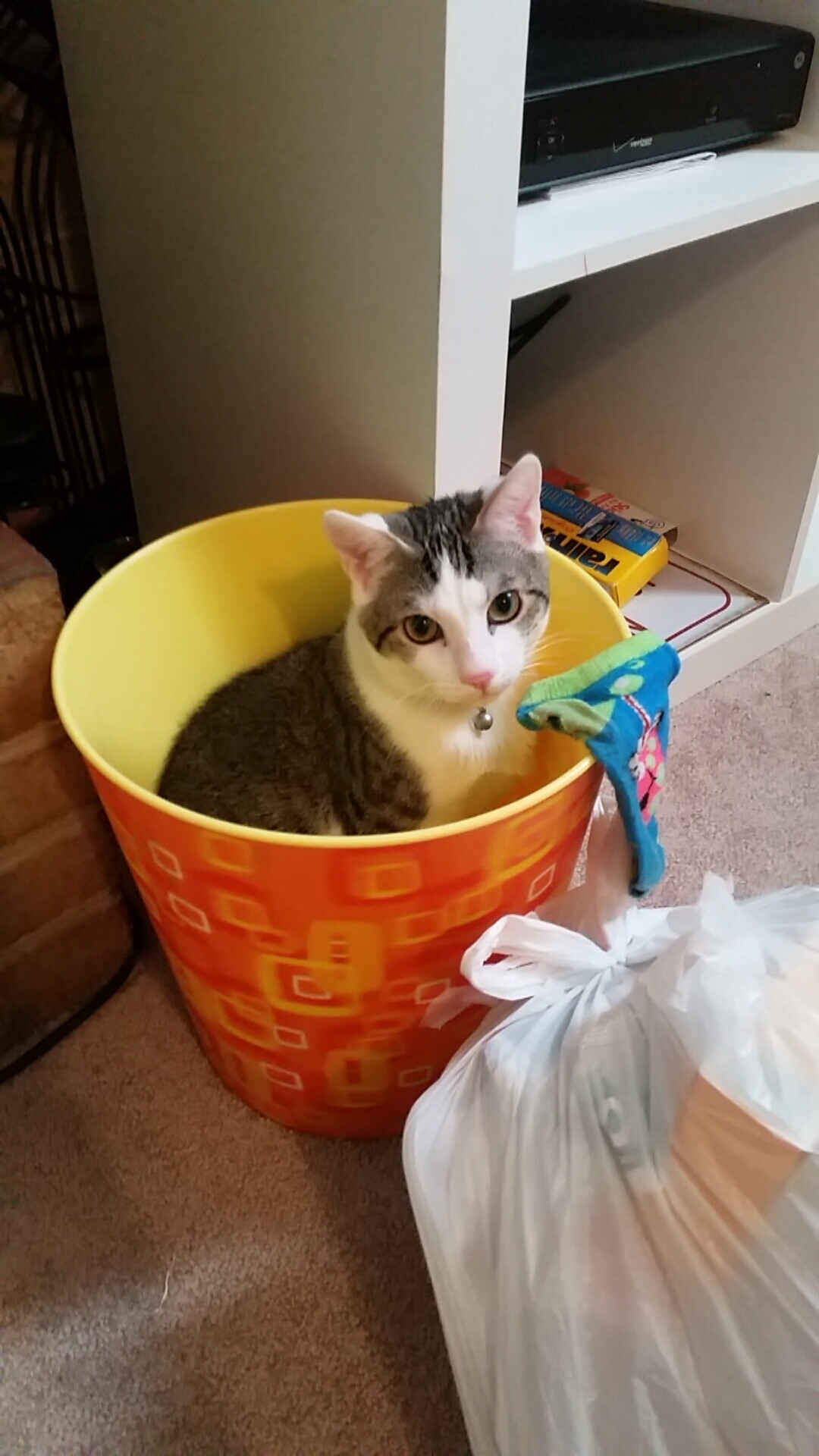 爱游戏娱乐-窒息攻防，帕尔默用最不F1的方式锁定王座