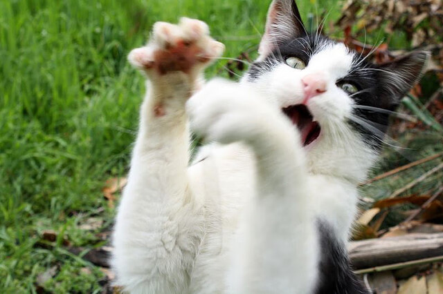 复仇与重生，巴斯托尼绝杀如何终结英格兰的冰岛心魔