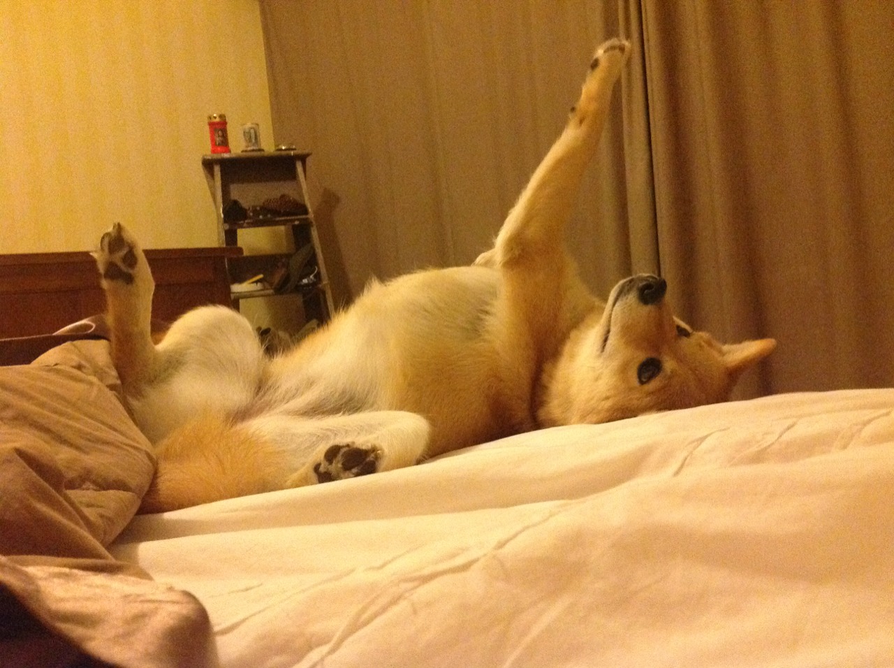 巅峰与热血的对决，当吉林队跨越山海让死神杜兰特关键制胜成为背景