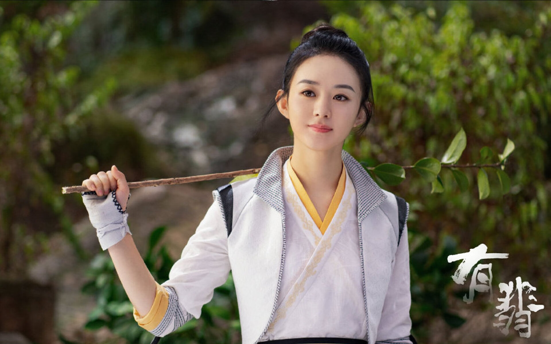 禁区对决,当南海岸风暴席卷银色长城—2026世界杯战术史诗