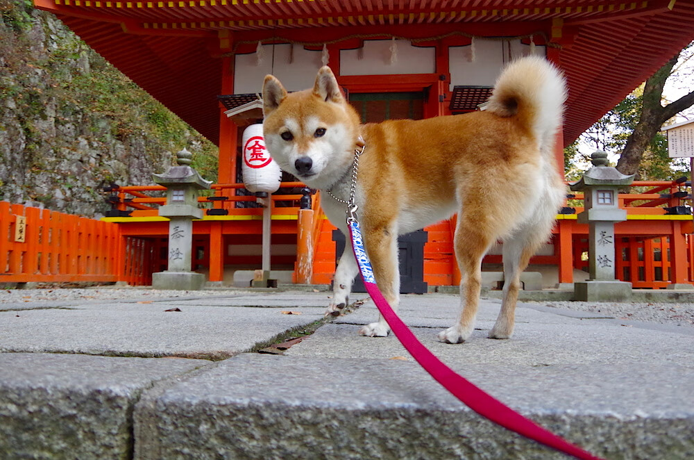 足球世界的一日三幕剧,C罗定义传奇,冰岛书写历史,国米揭开新章