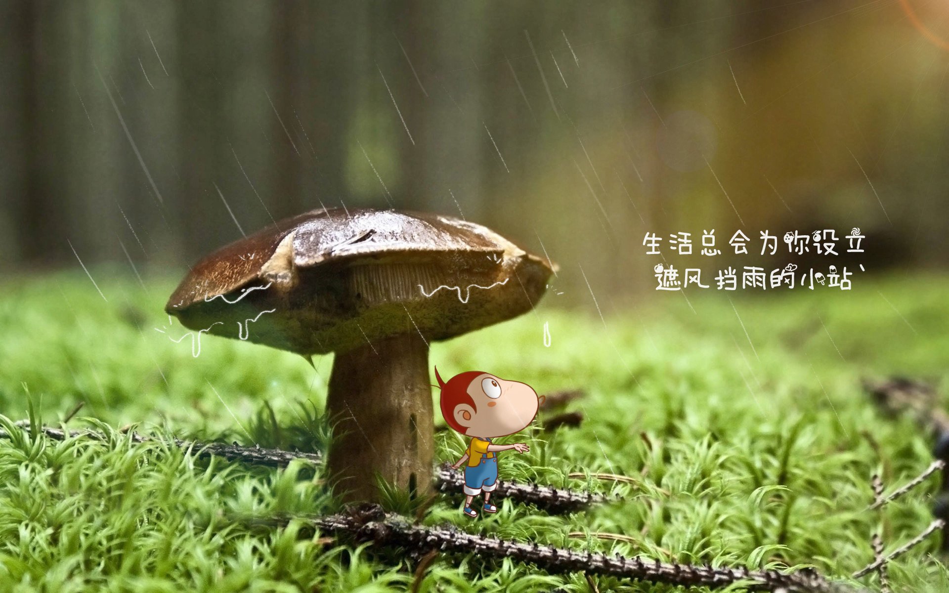 德容的最后一舞,压哨绝杀撕裂葡萄牙,罗马尼亚在2026世界杯写下不朽史诗