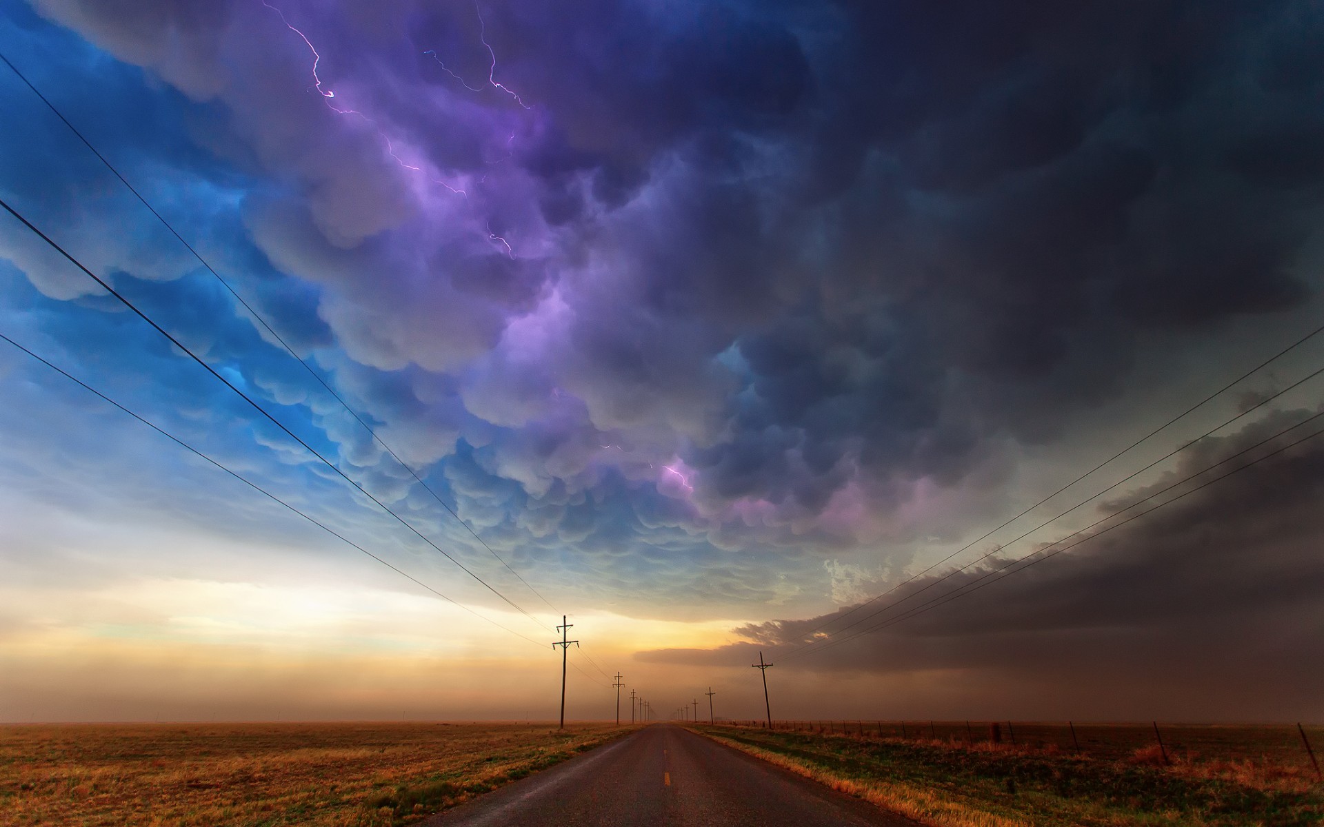 爱游戏在线-当狮子咬碎樱花，2026世界杯C组那场改写命运的雨夜