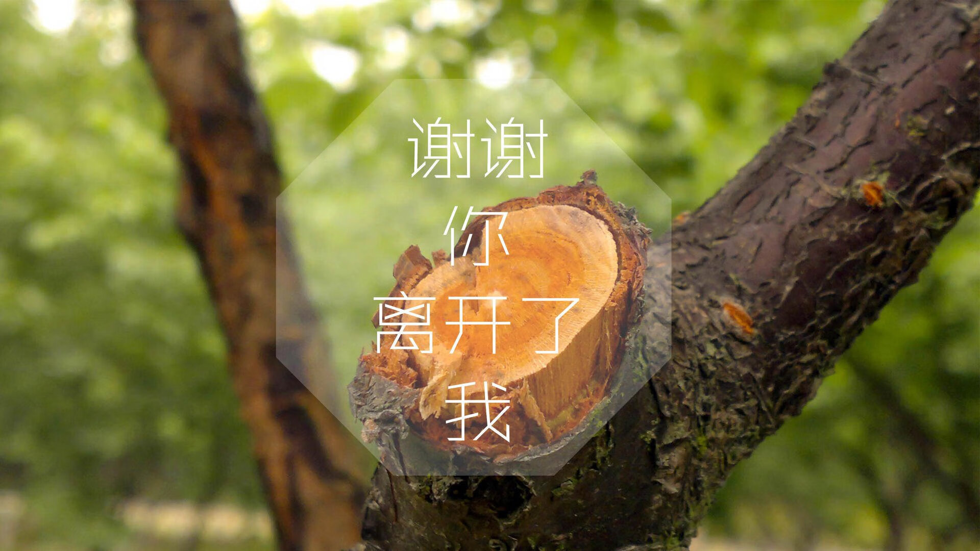 2026盛夏之役，C组死亡齿轮咬合，日本风暴刮倒匈牙利，拉什福德独舞定乾坤