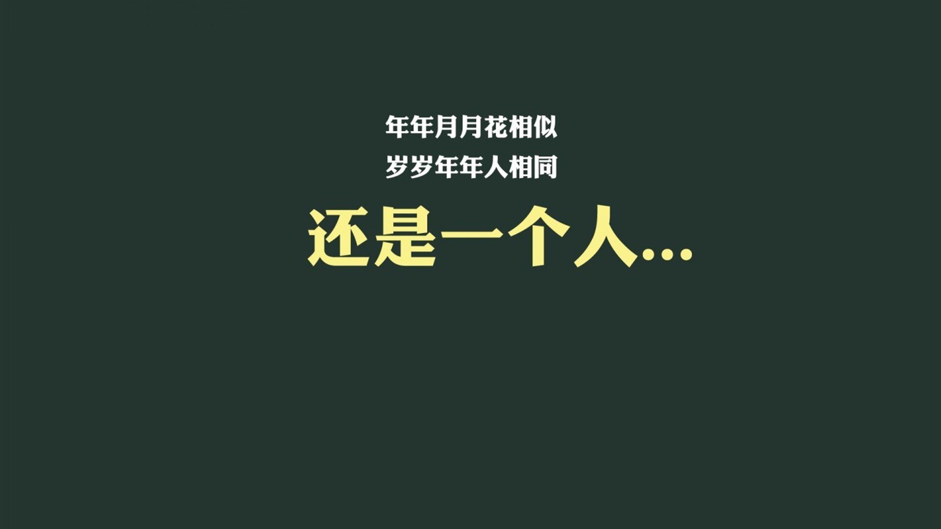 唯一的路,当郁金香绽放于十字路口—荷兰队如何用反荷兰的胜利,在2026年世界杯D组书写唯一答案